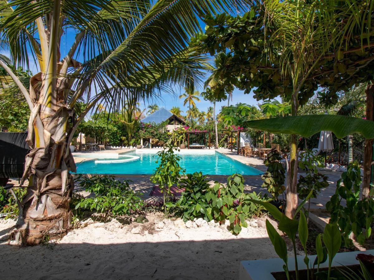 Tropical Oasis Boutique Hotel Michamvi Kae ภายนอก รูปภาพ